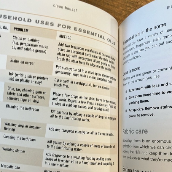 Book: Clean House by Alison Haynes - Picture 10 of 16